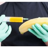 What is the Opinions of experts about Primal Grow Pro