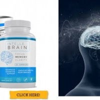 Amazing Results Of Intelle Brain Pills