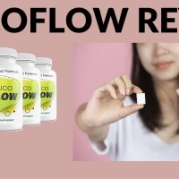 Gluco Flow Thats Helps You in  Controlling Blood Sugar Level