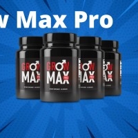 The Top Best Male Enhancement Pills Grow Max Pro