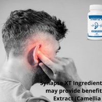 Synapse XT Ingredients vitamin C Is One Of The Most Important