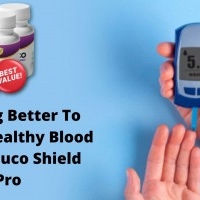 Improvement Your Blood Sugar Gluco Shield Pro