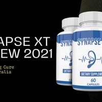 Synapse XT (New Review) Results & Truth Revealed