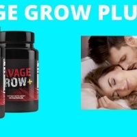 100% Safe To Use Stoneforce