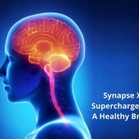 What Is Synapse XT Caused By?