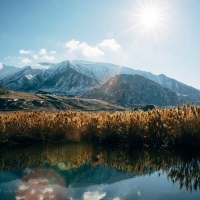 The Panthers are minor dwelling favorites in excess of