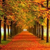 TDS writers talk about NBA draft lottery and 