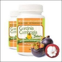 Natural weight Lose Supplement - Garcinia Cambogia Select