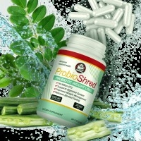 Best Natural Supplement For Your Stomach - Probioshred
