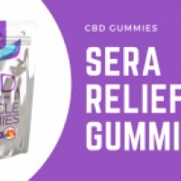 Sera Labs Yummy Gummy CBD - Sera Labs CBD Gummy!