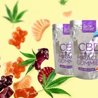 Sera Labs Yummy Gummy CBD - Sera Labs CBD Gummy!
