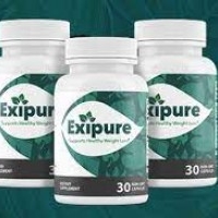 How To Make Weight Exipure Supplement