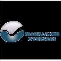 Pickled gherkin exporter from India